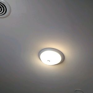 Meet your Posher, Nyla